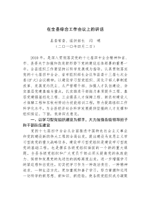 在全县综合工作会议上的讲话