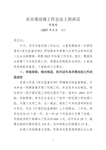 在市委巡视工作会议上的讲话3