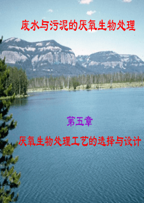 厌氧生物处理第五章.