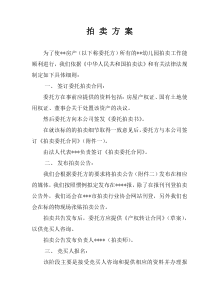 场所拍卖方案