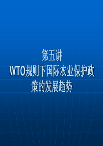 WTO规则下国际农业保护政策的发展趋势