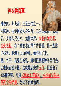 XXXX年第2期（总第4期）-能源环境科技简讯