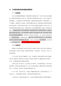 发展战略和核心技术1