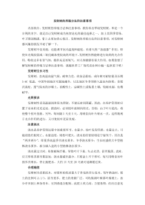 发财树的养殖方法和注意事项