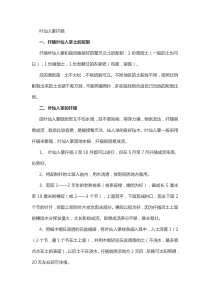 叶仙人掌扦插