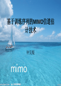 基于训练序列的MIMO信道估计技术