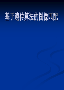 基于遗传算法的图像匹配