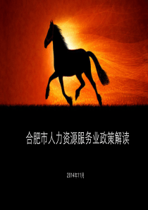 合肥市人力资源服务培训.