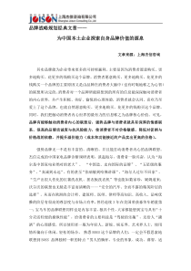 品牌战略规划经典文章2为中国本土企业探索自身品牌的价值源泉