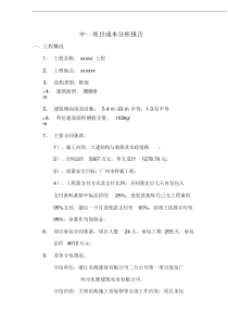 项目成本分析报告--陈涛