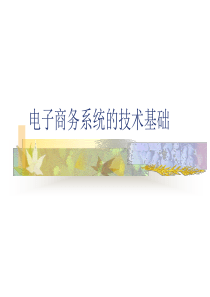 4第五章电子商务系统的技术基础