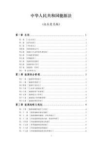 中华人民共和国能源法