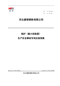 唐银锅炉专项应急预案