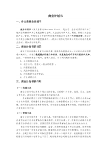 商业计划书05.24
