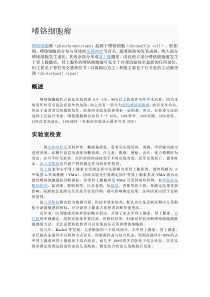 嗜铬细胞瘤专题