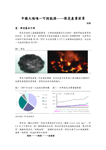 中国大陆唯一可控能源煤炭产业前景