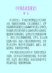 中国农业史