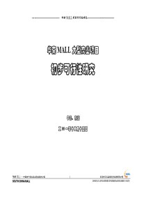 华南MALL初步可行性研究