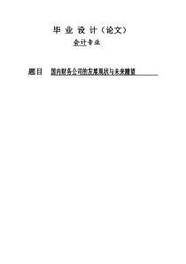 国内财务公司的发展现状与未来瞻望