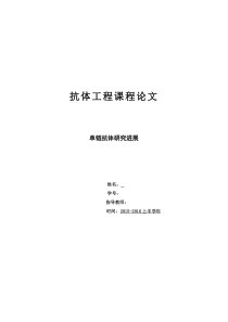 单链抗体研究进展