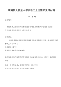 统编新人教版六年级语文上册期末复习材料