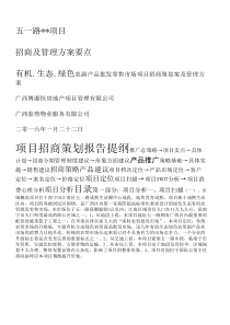 南宁市五一路某某某项目招商方案