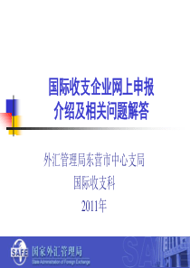 国际收支统计间接申报培训讲义3