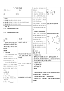 圆周运动习题课教案