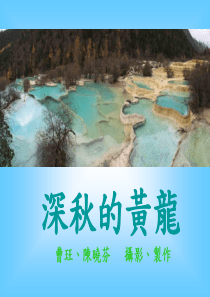 俄罗斯能源外交战略与中俄油气合作