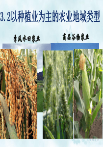 以种植业为主的农业地域类型