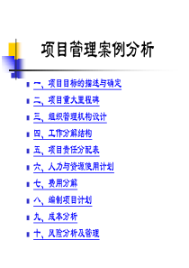 案例一-项目管理分析报告