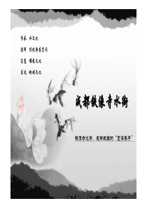 铁像寺水街案例分析