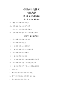 初级会计电算化考试大纲