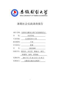 卢辞再暑期社会实践报告。