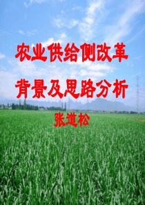 农业供给侧改革背景及思路分析(培训)（PPT35页)