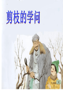 剪枝的学问.