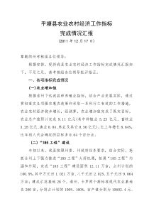 农业农村经济完成情况汇报