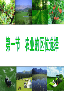农业区位选择使用