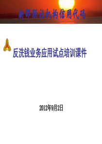 反洗钱业务应用试点培训课件