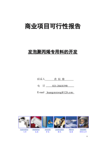 发泡聚丙烯专用料的开发-可行性报告