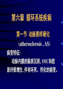 动脉粥样硬化