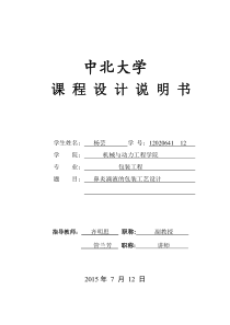包装工艺说明书