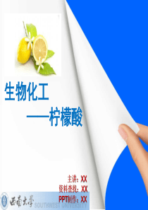 化学工艺学期末作业生物化工柠檬酸制造工艺.