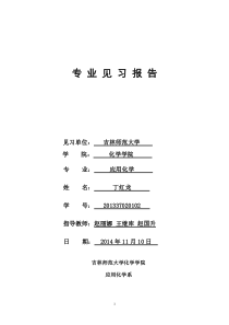 化学见习报告
