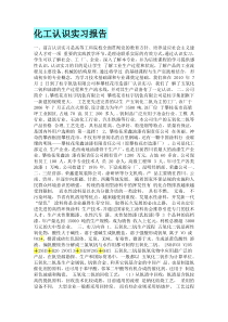 化工专业认识实习报告三