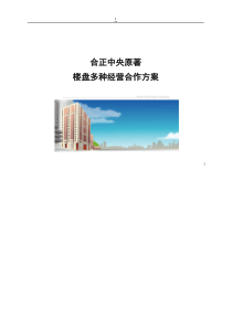 合正中央原著多种经营方案1