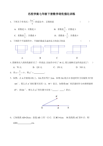 名校学案七年级下册数学培优强化训练