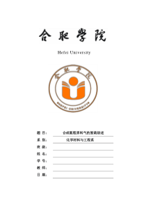 典型化工工艺