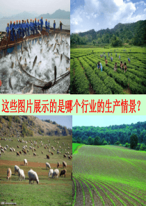 农业(2课时)