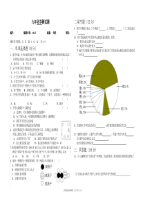 化学月考题分子内容以前的